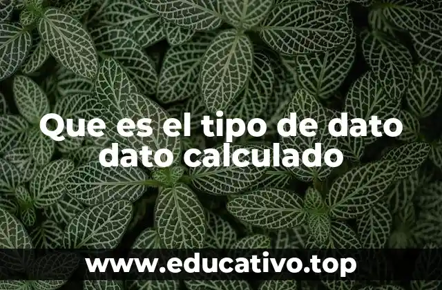 Que es el tipo de dato dato calculado