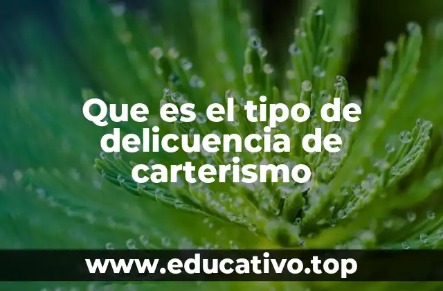 Que es el tipo de delicuencia de carterismo