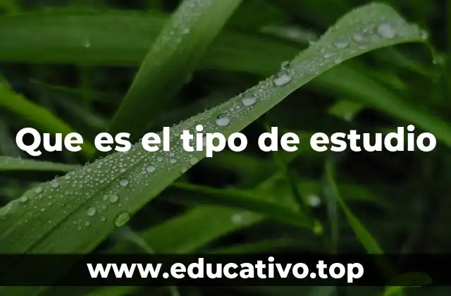 Que es el tipo de estudio