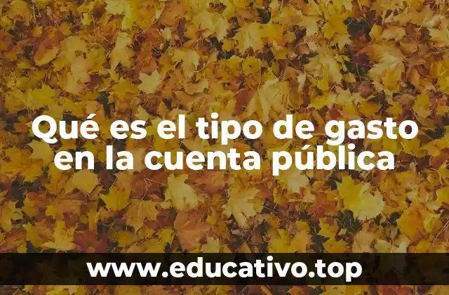 Qué es el tipo de gasto en la cuenta pública