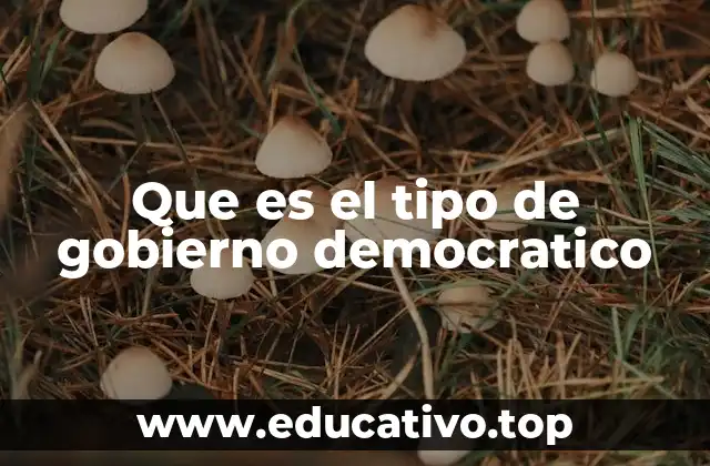 Que es el tipo de gobierno democratico