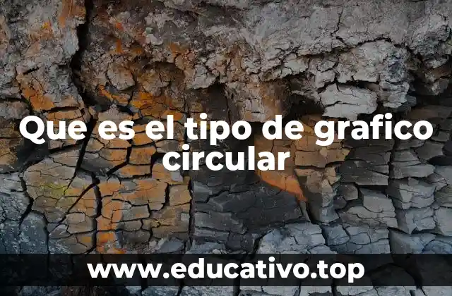 Que es el tipo de grafico circular
