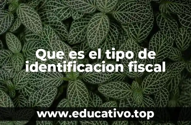 Que es el tipo de identificacion fiscal