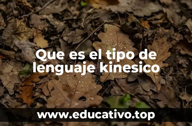 Que es el tipo de lenguaje kinesico