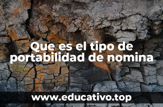 Que es el tipo de portabilidad de nomina