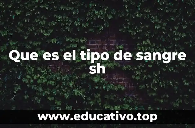 Que es el tipo de sangre sh