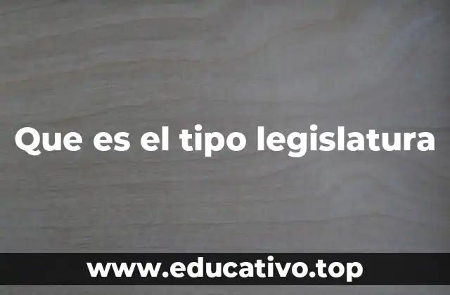 Que es el tipo legislatura