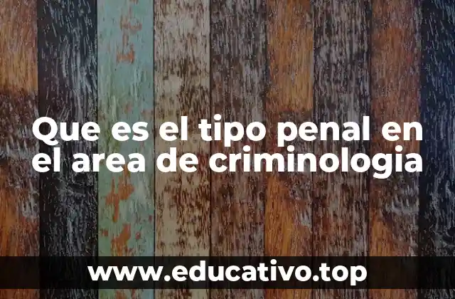 Que es el tipo penal en el area de criminologia