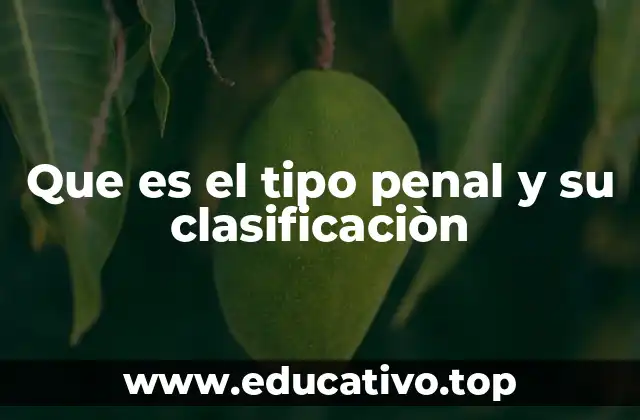 Que es el tipo penal y su clasificaciòn