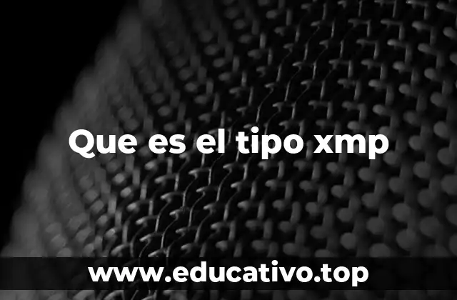Que es el tipo xmp