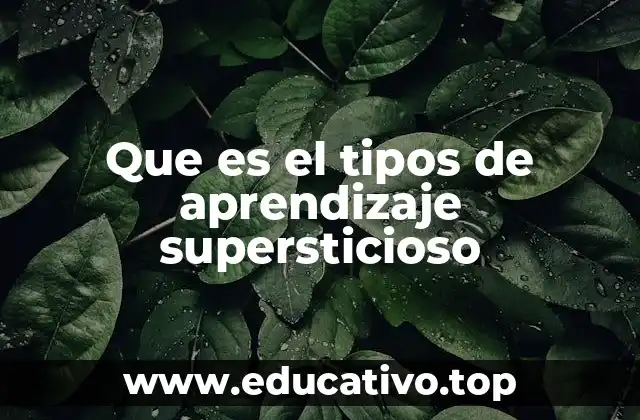 Que es el tipos de aprendizaje supersticioso