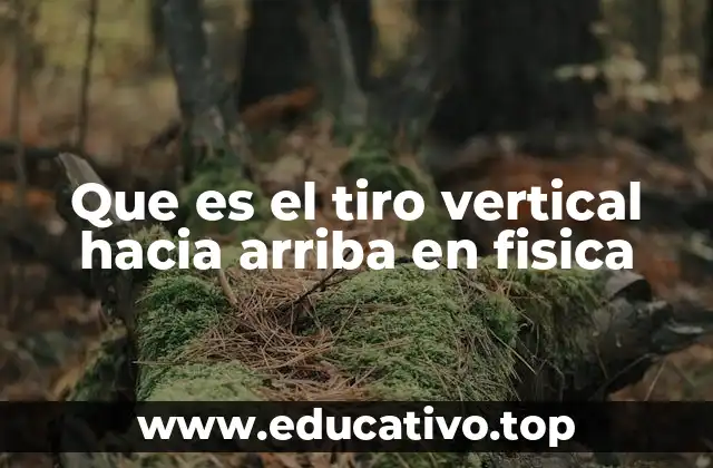 Que es el tiro vertical hacia arriba en fisica