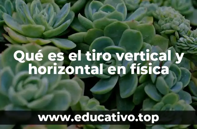 Qué es el tiro vertical y horizontal en física