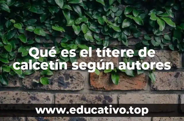 Qué es el títere de calcetín según autores