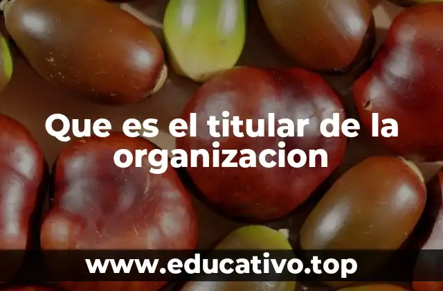 Que es el titular de la organizacion