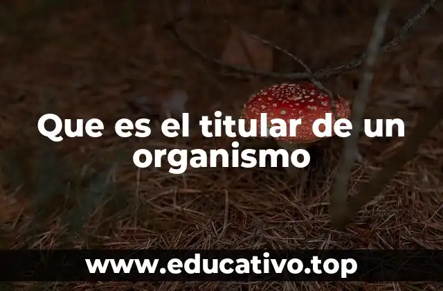 Que es el titular de un organismo