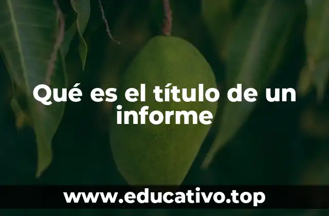 Qué es el título de un informe