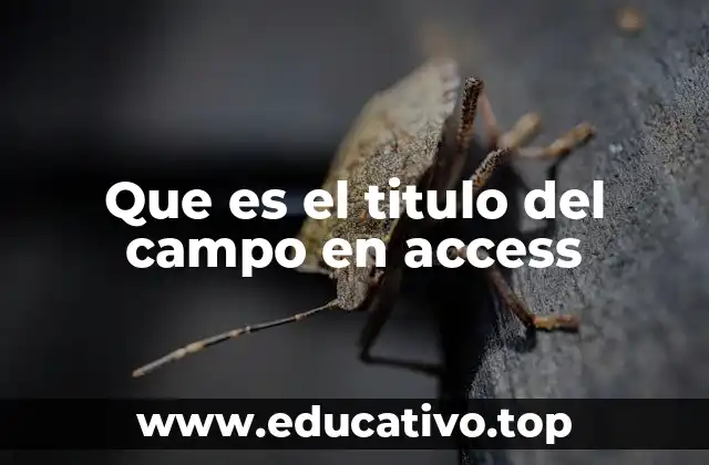 Que es el titulo del campo en access