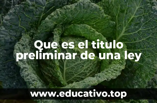 Que es el titulo preliminar de una ley