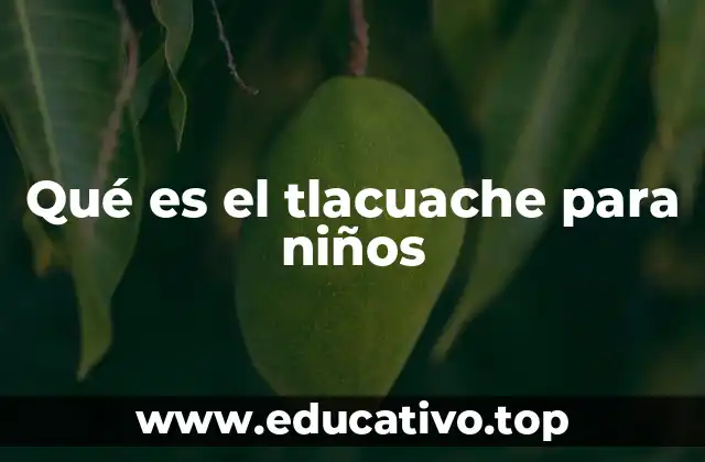 Qué es el tlacuache para niños