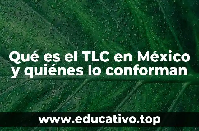 Qué es el TLC en México y quiénes lo conforman