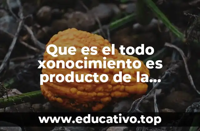 La importancia del aprendizaje basado en la vivencia