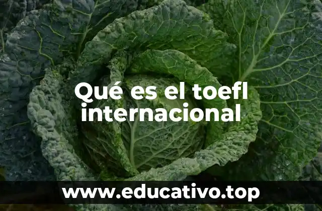 Qué es el toefl internacional