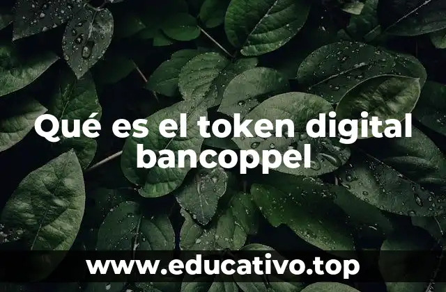Qué es el token digital bancoppel