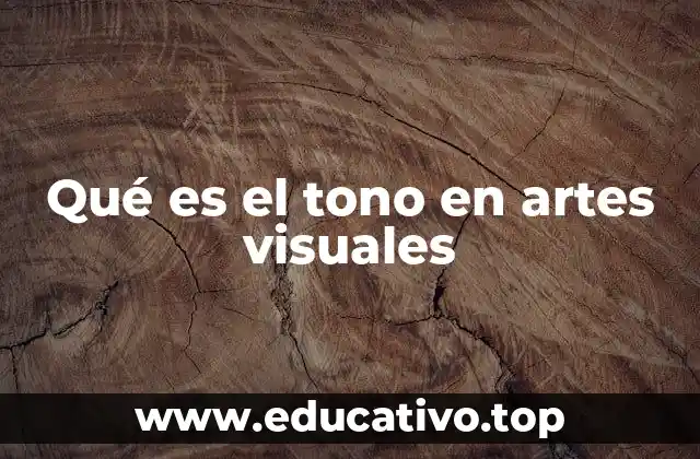 Qué es el tono en artes visuales