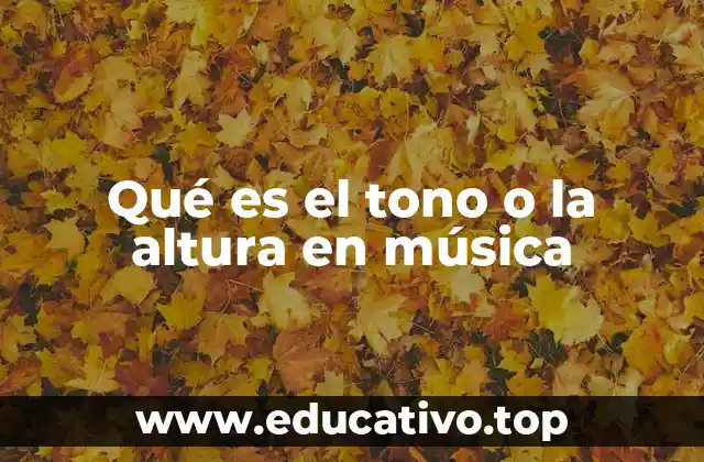 Qué es el tono o la altura en música