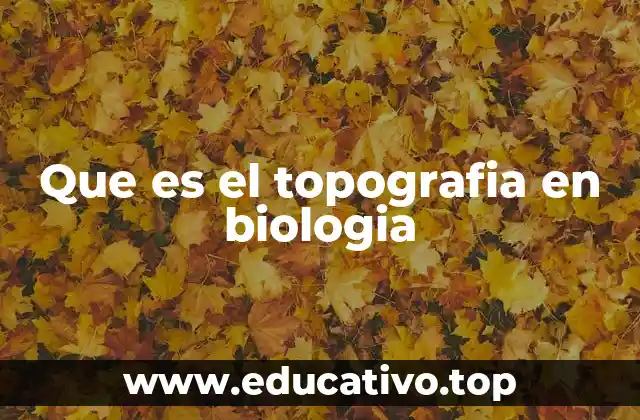 Que es el topografia en biologia