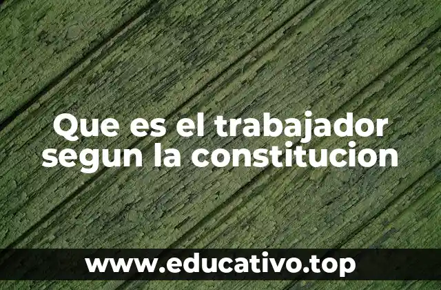 Que es el trabajador segun la constitucion