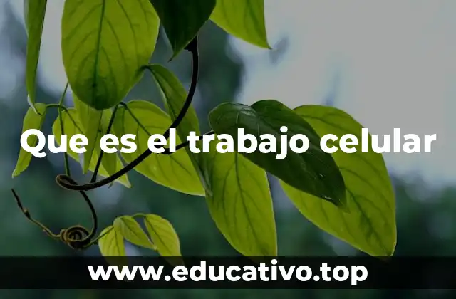 Que es el trabajo celular
