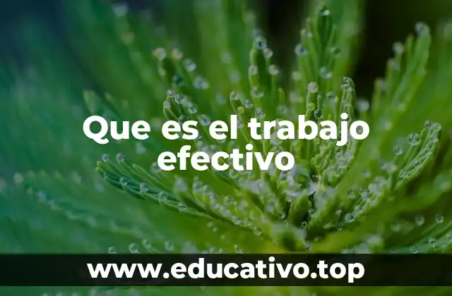 Que es el trabajo efectivo
