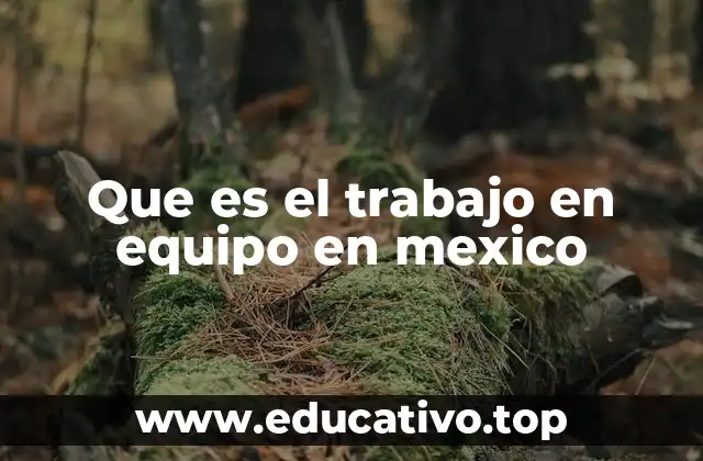 Que es el trabajo en equipo en mexico