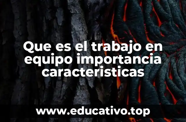 Que es el trabajo en equipo importancia caracteristicas