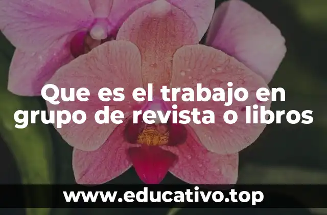 Que es el trabajo en grupo de revista o libros