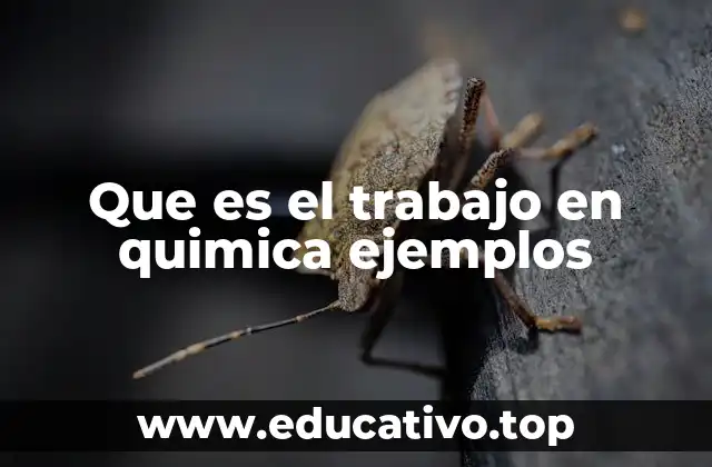 Que es el trabajo en quimica ejemplos
