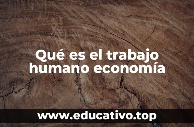 Qué es el trabajo humano economía