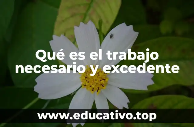 Qué es el trabajo necesario y excedente