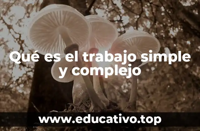 Qué es el trabajo simple y complejo