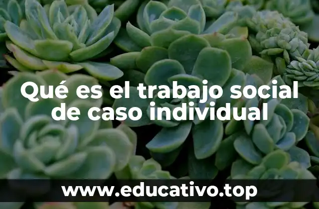 Qué es el trabajo social de caso individual