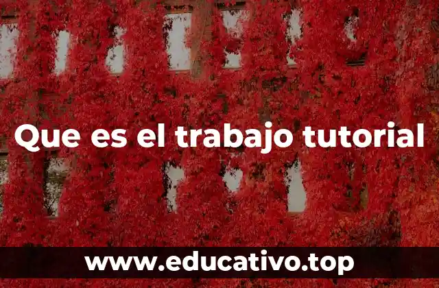 Que es el trabajo tutorial