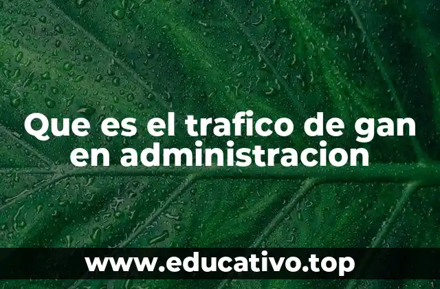 Que es el trafico de gan en administracion