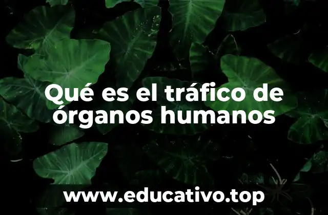 Qué es el tráfico de órganos humanos