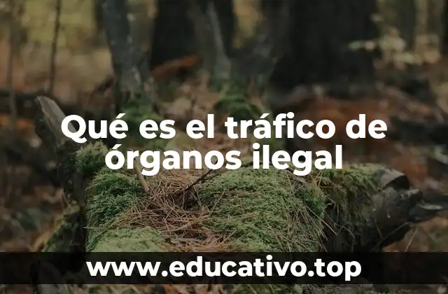 Qué es el tráfico de órganos ilegal