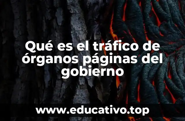 Qué es el tráfico de órganos páginas del gobierno