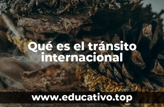 Qué es el tránsito internacional