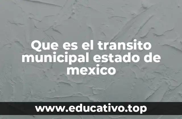 Que es el transito municipal estado de mexico