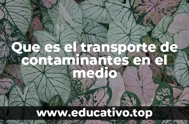 Que es el transporte de contaminantes en el medio